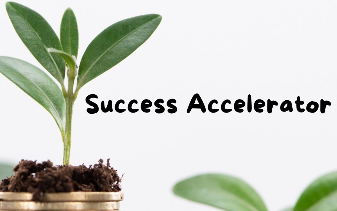 Success Accelerator: Do THIS to Add 5 (or even 6) Figures to Your Income